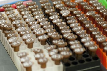 New Frontiers research funds to improve plant proteins, to study environmental impacts of urban migration