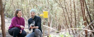 sticky pi insect monitoring device