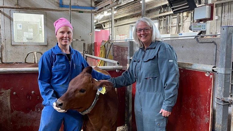 Supporting Animal Welfare for 25 Years - Faculty of Land and Food Systems Supporting Animal Welfare for 25 Years - Faculty of Land and Food Systems